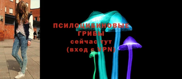 герыч Осинники