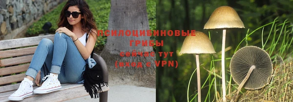 Альфа ПВП Осташков