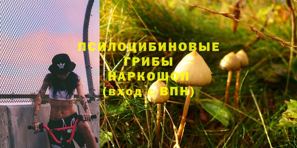 герыч Осинники