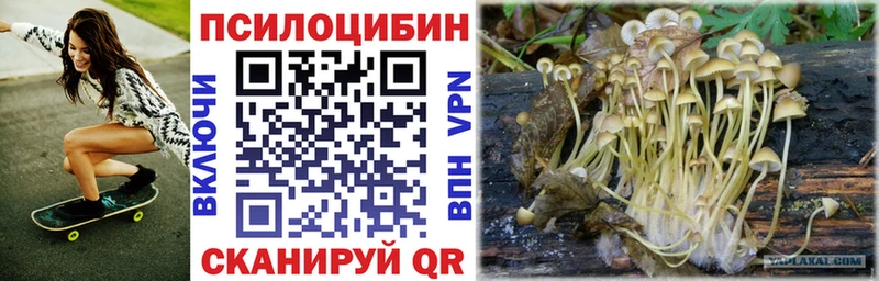 MEGA ссылки купить наркотик Калининск Галлюциногенные грибы Psilocybine cubensis